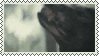 wolf snarl